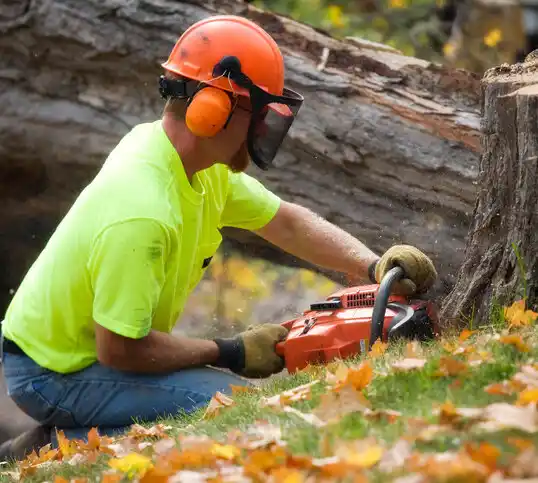 tree services Ulm